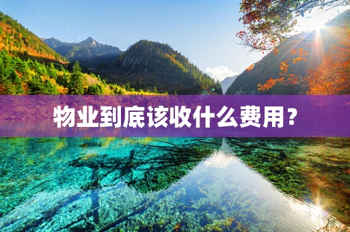 物业到底该收什么费用？