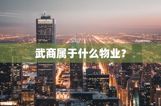 武商属于什么物业？