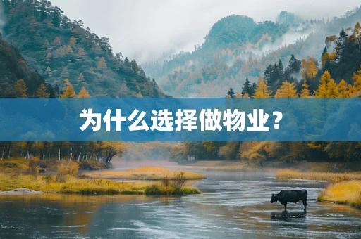 为什么选择做物业？