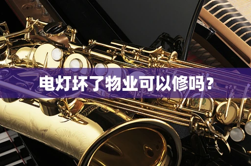 电灯坏了物业可以修吗？