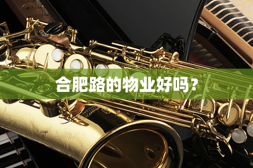 合肥路的物业好吗？