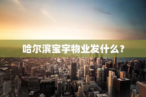 哈尔滨宝宇物业发什么？