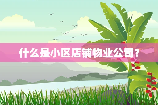 什么是小区店铺物业公司？