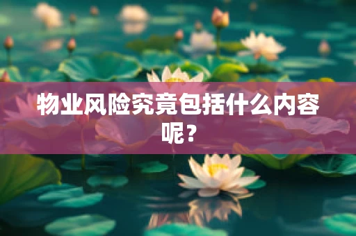 物业风险究竟包括什么内容呢？