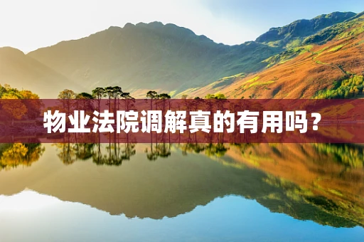 物业法院调解真的有用吗？