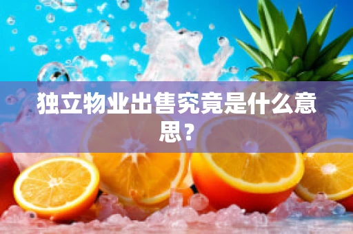 独立物业出售究竟是什么意思？