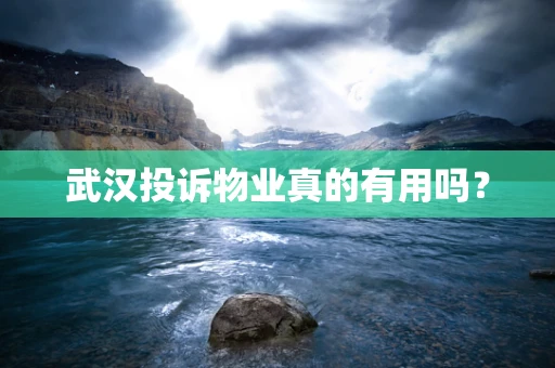 武汉投诉物业真的有用吗？