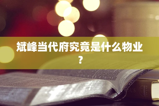 斌峰当代府究竟是什么物业？
