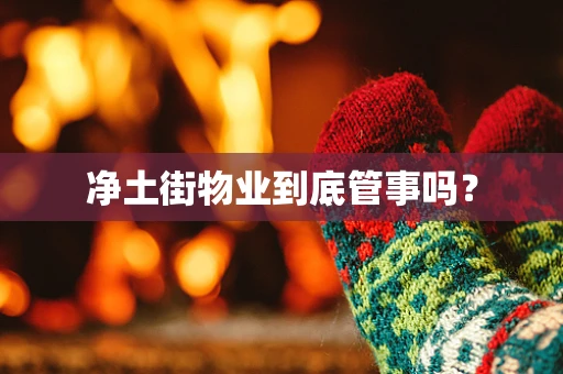 净土街物业到底管事吗？
