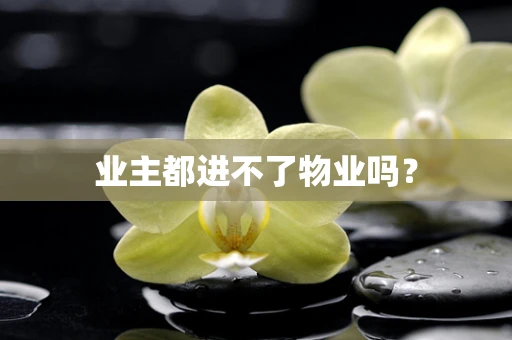 业主都进不了物业吗？