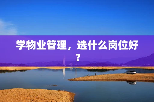 学物业管理，选什么岗位好？