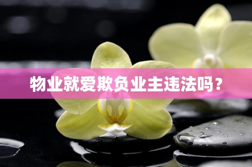 物业就爱欺负业主违法吗？