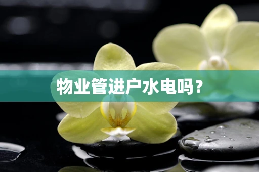 物业管进户水电吗？