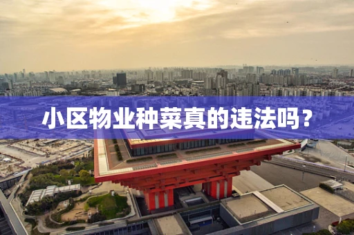 小区物业种菜真的违法吗？