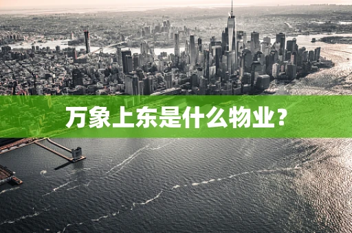 万象上东是什么物业？