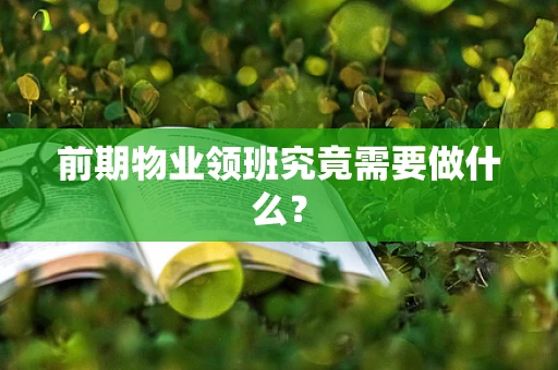 前期物业领班究竟需要做什么？