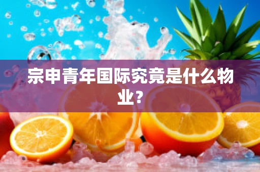 宗申青年国际究竟是什么物业？