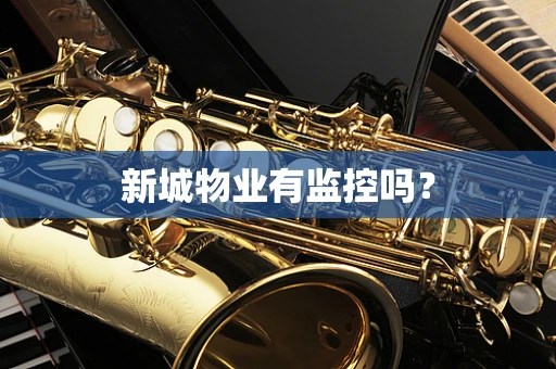 新城物业有监控吗？