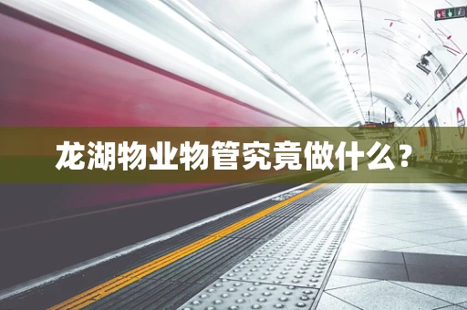 龙湖物业物管究竟做什么？