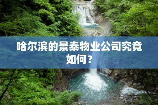 哈尔滨的景泰物业公司究竟如何？