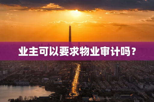 业主可以要求物业审计吗？