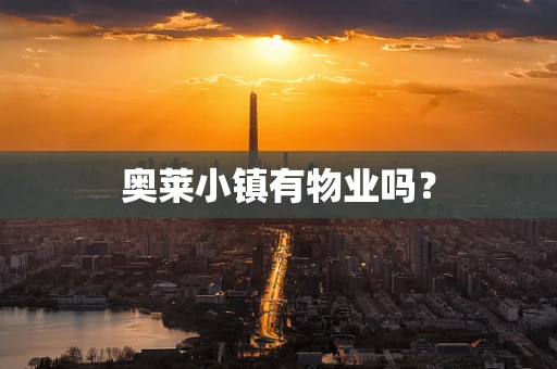 奥莱小镇有物业吗？