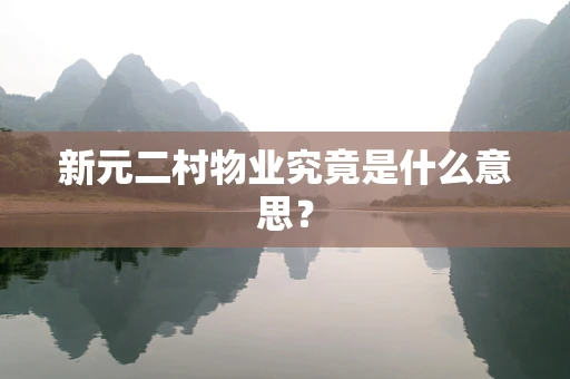 新元二村物业究竟是什么意思？