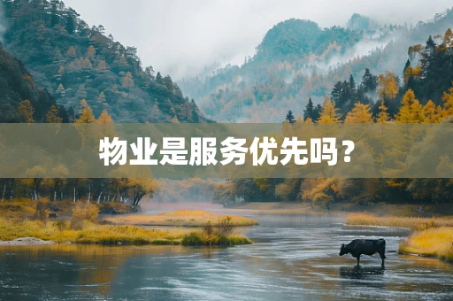 物业是服务优先吗？