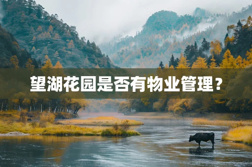 望湖花园是否有物业管理？