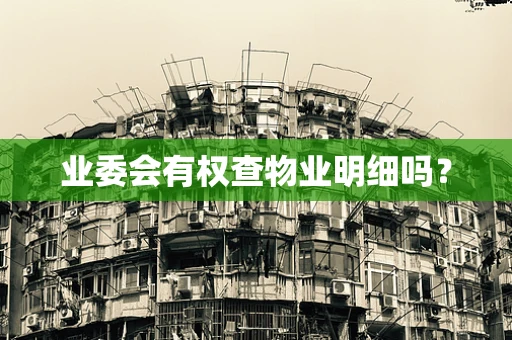 业委会有权查物业明细吗？