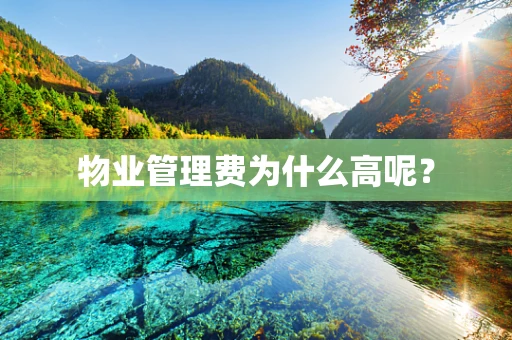 物业管理费为什么高呢？