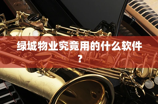 绿城物业究竟用的什么软件？