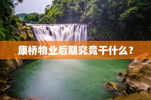 康桥物业后期究竟干什么？