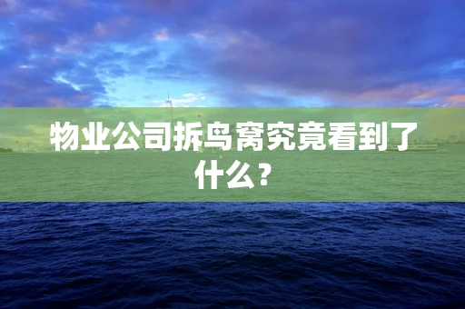 物业公司拆鸟窝究竟看到了什么？