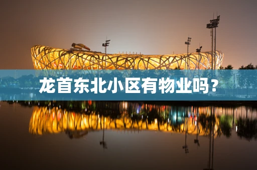 龙首东北小区有物业吗？