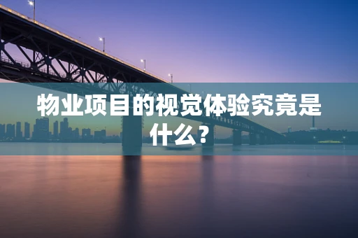 物业项目的视觉体验究竟是什么？