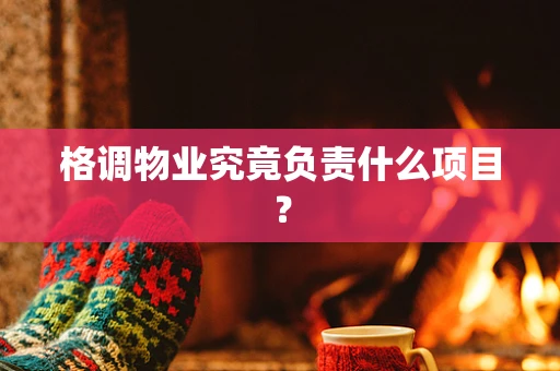 格调物业究竟负责什么项目？