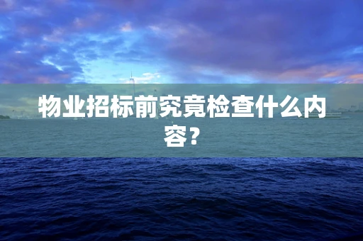 物业招标前究竟检查什么内容？