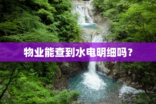 物业能查到水电明细吗？