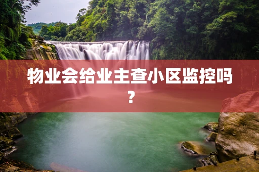物业会给业主查小区监控吗？
