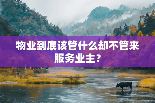 物业到底该管什么却不管来服务业主？
