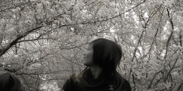 合肥租车位物业会收费吗？