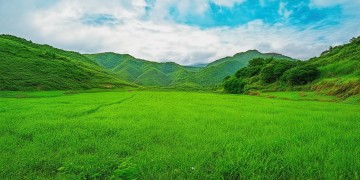 海南珠江物业究竟是做什么的？